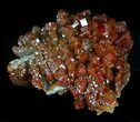 Shiny Red Vanadinite Crystals - Morocco #32331-1